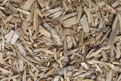 biomass boilers Tudweiliog